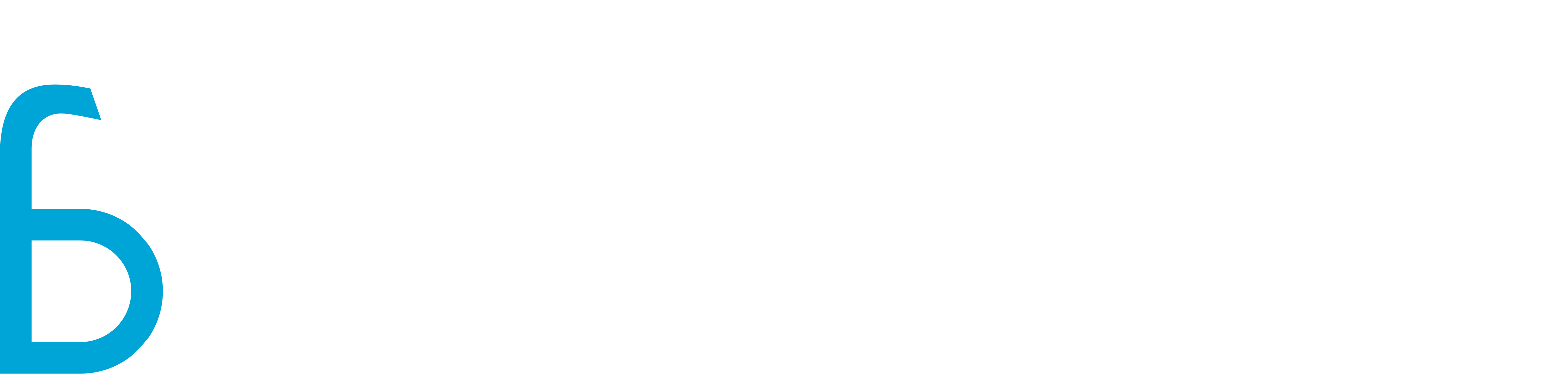 서울바정치과
